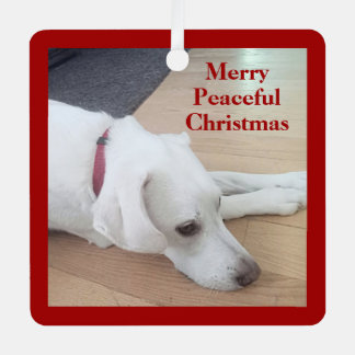 Cute dog Wearing Red Collar Star Christmas Peace Metal Tree Decoration