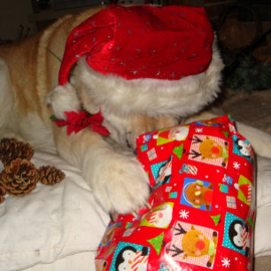 Cute dog wearing red hat for christmas jigsaw puzzle