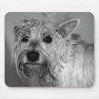 Cute Dog - Westie (West Highland Terrier) Mouse Pad