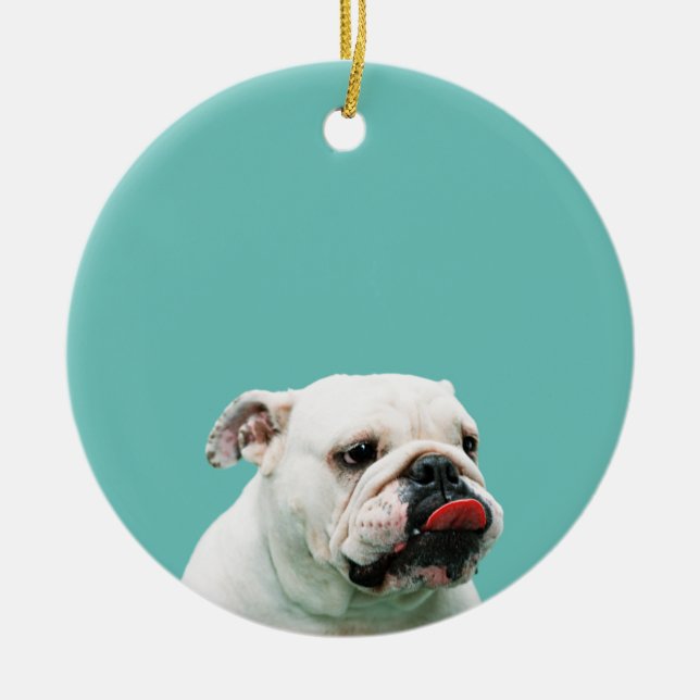 Cute dog white Bulldog Ceramic Ornament (Front)