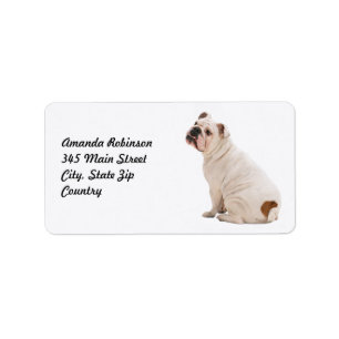 Cute dog white bulldog label