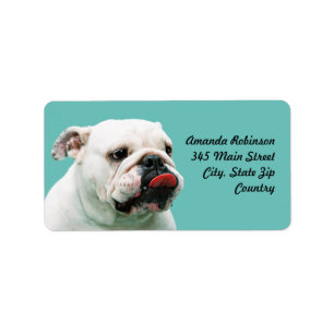 Cute dog white Bulldog Label