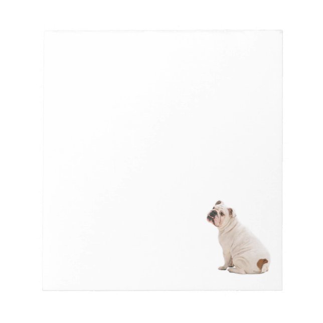 Cute dog white bulldog notepad (Front)