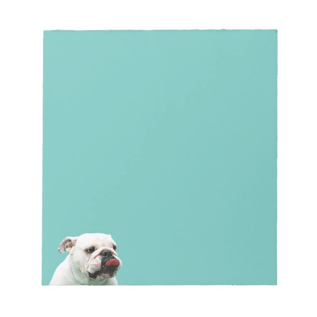 Cute dog white Bulldog Notepad (Front)