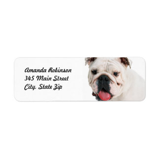 Cute dog white Bulldog Return Address Label