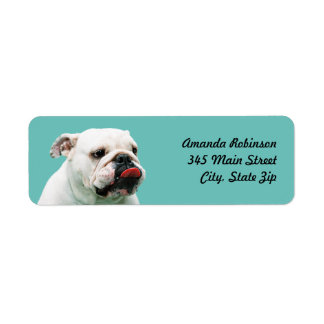 Cute dog white Bulldog Return Address Label