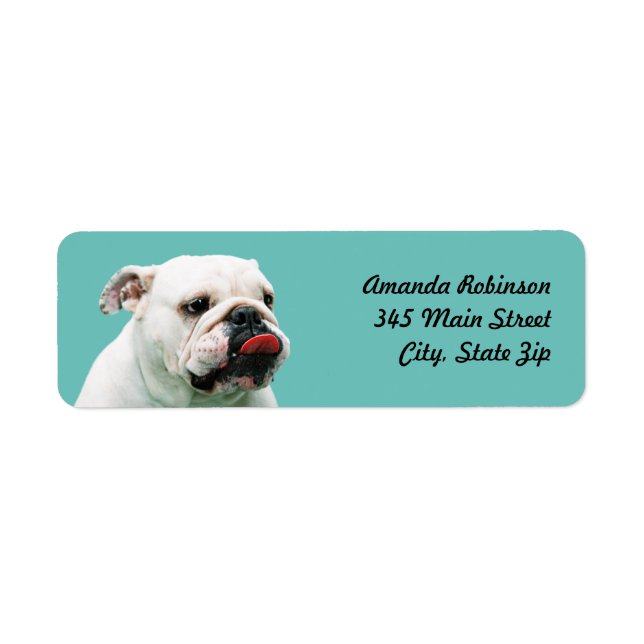 Cute dog white Bulldog Return Address Label (Front)