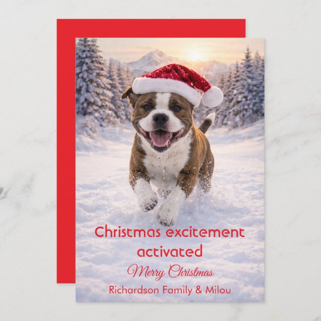 Cute Dog with Christmas Funny Quote | Holiday Card (Front/Back)