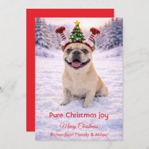 Cute Dog with Christmas Tender Quote Holiday Card