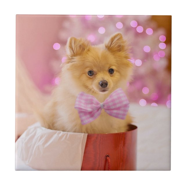Cute Dog with Pink Bow Christmas Photograph Ceramic Tile (Front)