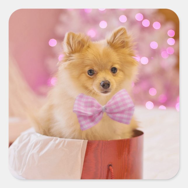 Cute Dog with Pink Bow Christmas Photograph Square Sticker (Front)