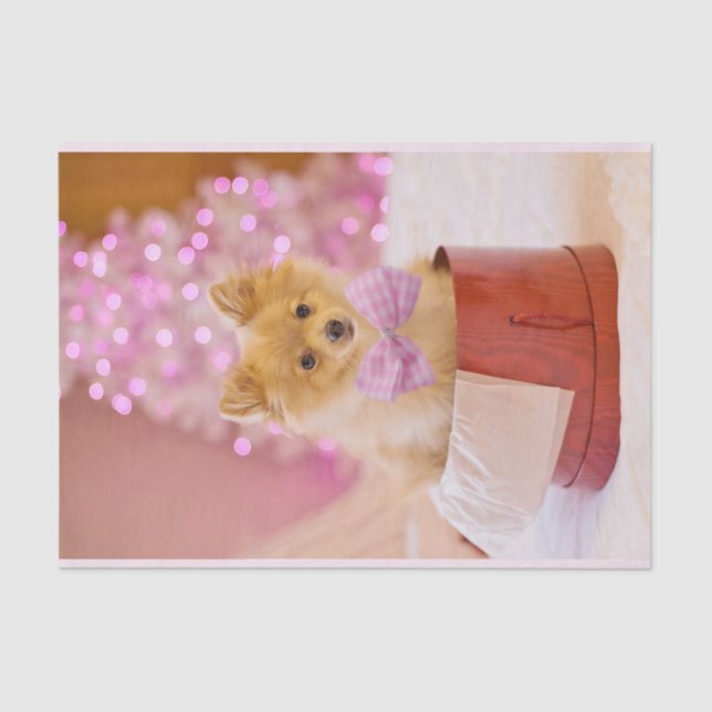 Cute Dog with Pink Bow Christmas Photograph Tissue Paper (Front)