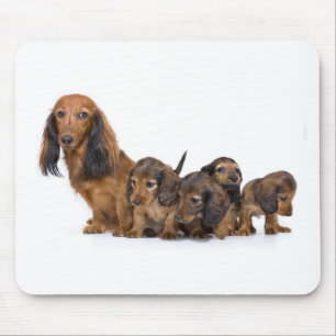 Cute dog with puppies mouse pad