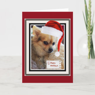 Cute Doggie Holiday Card