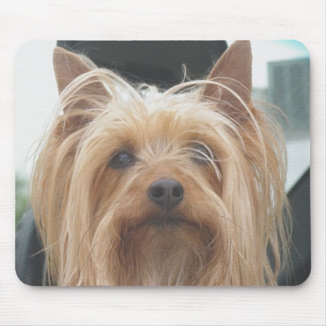 Cute Doggie Mousepad (Front)