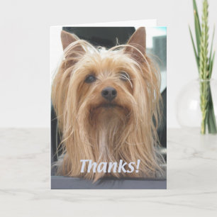 Cute Doggie Thank You Card