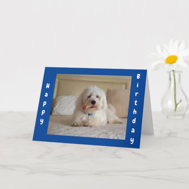 **CUTE DOGGIE WISHES** FRIEND'S BIRTHDAY CARD (Small Plant)