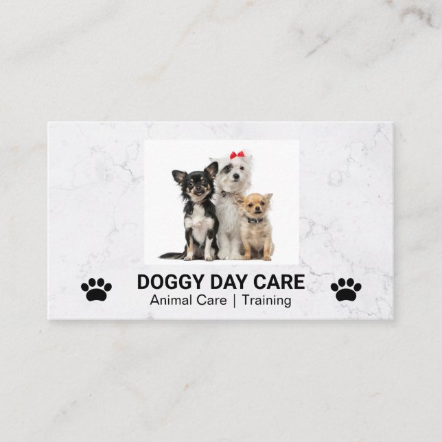 Cute Doggies Sitting | Groomer | Trainer Business Card (Front)