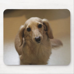 Cute doggy mouse pad