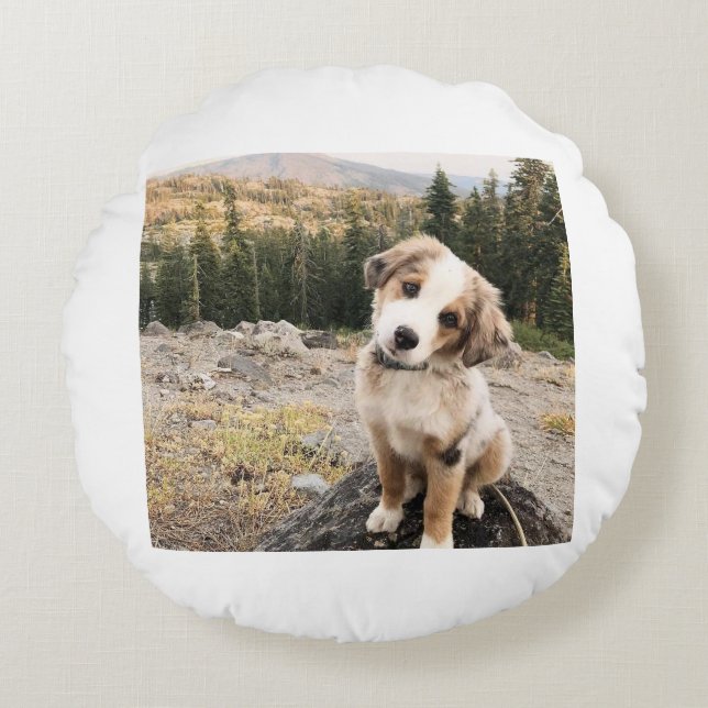 Cute dogii pillow (Front)