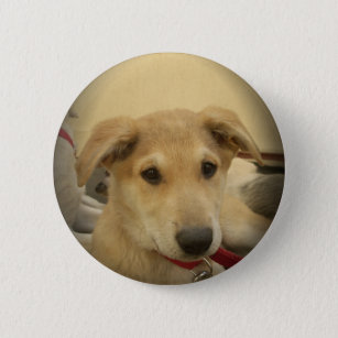 Cute Dogs and Puppies Mans second Best Friend.png 6 Cm Round Badge