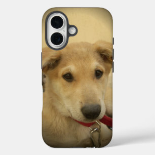 Cute Dogs and Puppies Mans second Best Friend.png iPhone 16 Case