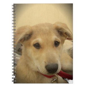 Cute Dogs and Puppies Mans second Best Friend.png Notebook