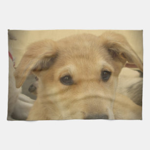 Cute Dogs and Puppies Mans second Best Friend.png Tea Towel