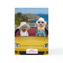 Cute Dogs Anniversary