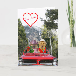 Cute Dogs Anniversary Card