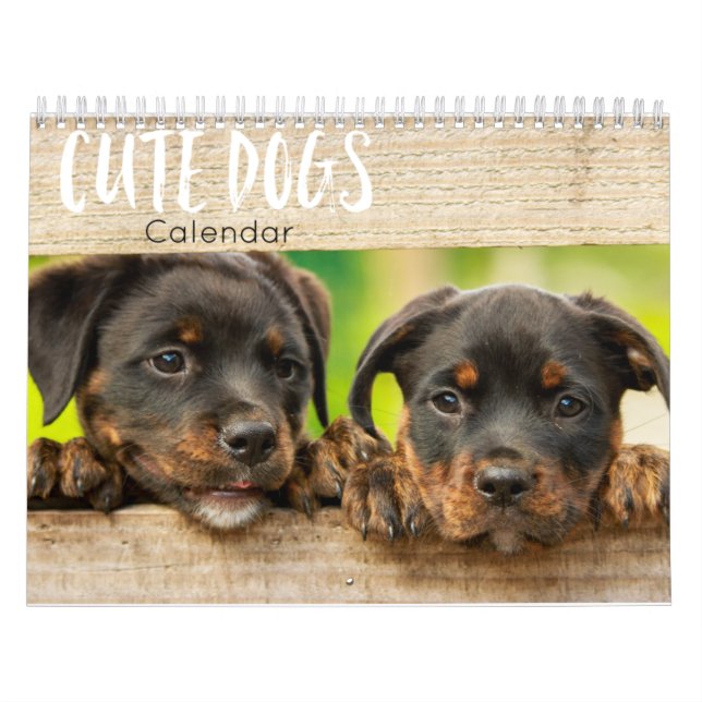 cute dogs calendar 2023 (Cover)