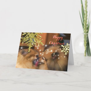 Cute Dogs Christmas Kiss Snowflake Picture Holiday Card