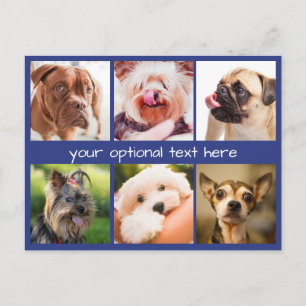Cute Dogs or YOUR Photos custom postcard