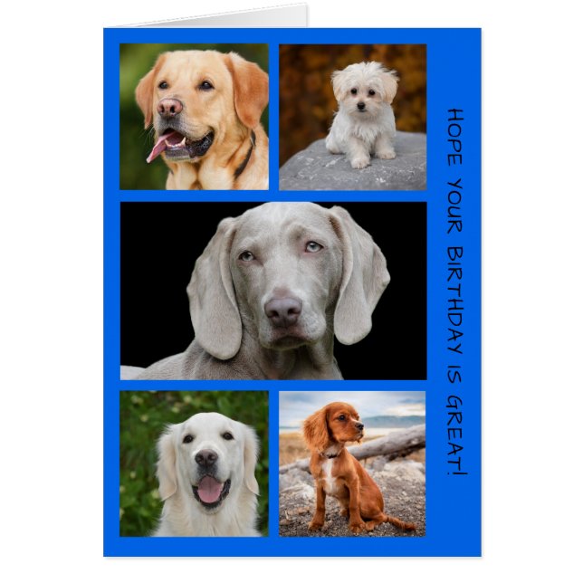 Cute Dogs Photo Birthday Collage (Front)