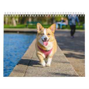 Cute Dogs Simple Minimal Calendar