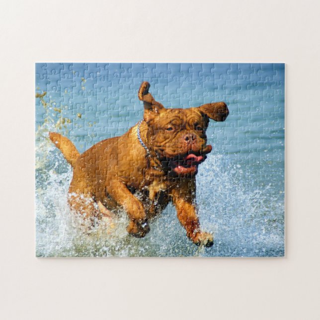 Cute Dogue de Bordeaux playing in water Jigsaw Puzzle (Horizontal)