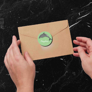 Cute   dolphin  -  add name classic round sticker