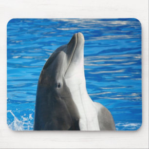 Cute Dolphin Beach Peace Love Party Destiny Mouse Pad