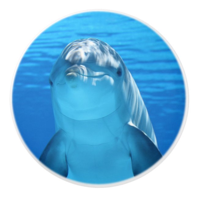 Cute dolphin ceramic knob (Front)