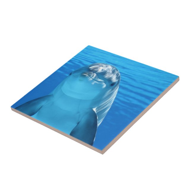 Cute Dolphin In The Ocean  Ceramic Tile (Side)