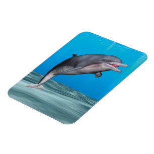 Cute Dolphin Magnet