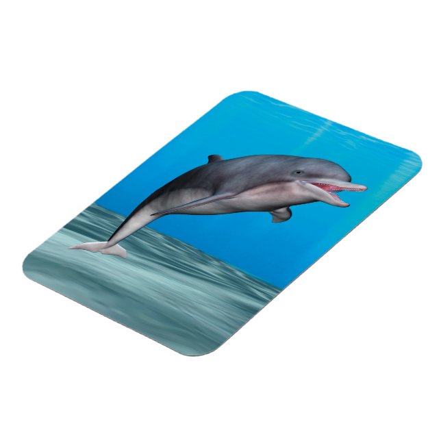 Cute Dolphin Magnet (Left Side)