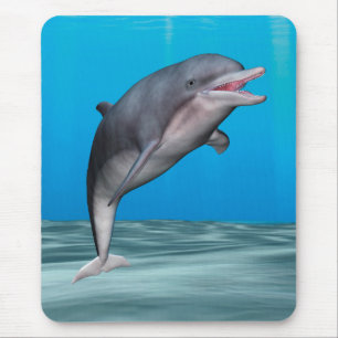 Cute Dolphin Mouse Pad