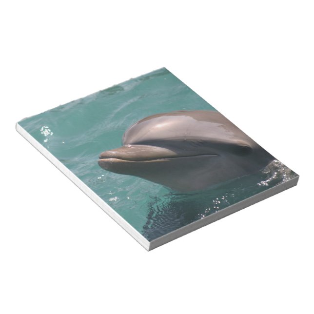 Cute Dolphin Notepad (Angled)