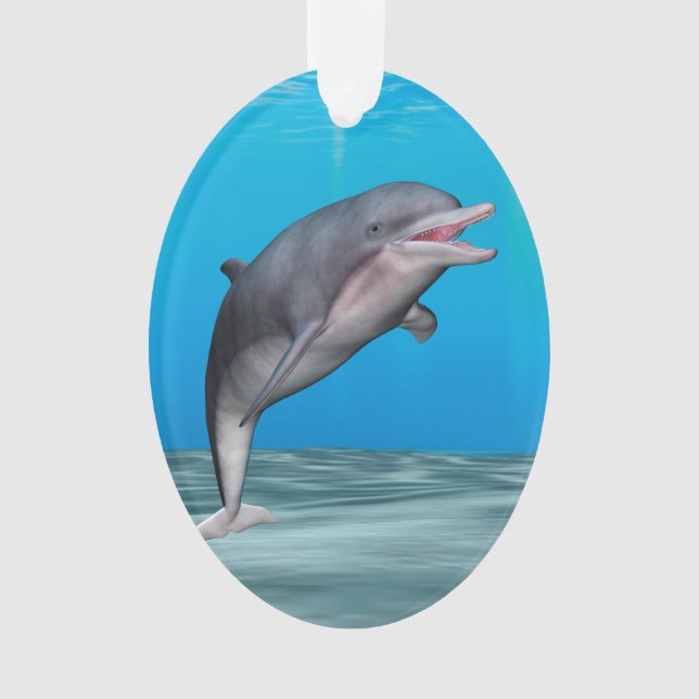 Cute Dolphin Ornament (Front)