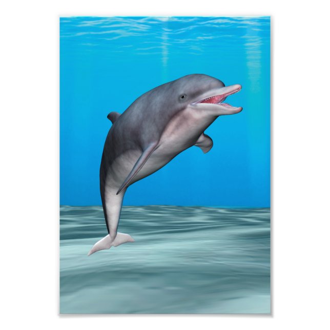Cute Dolphin Photo Print (Front)