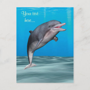 Cute Dolphin Postcard