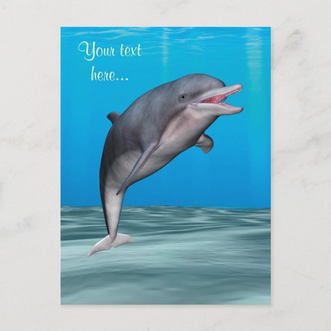 Cute Dolphin Postcard (Front)