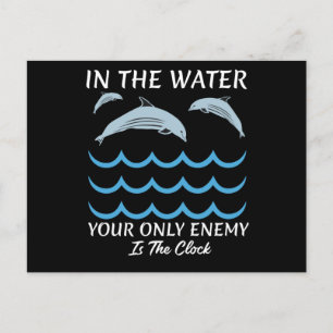 Cute Dolphins In The Water Postcard