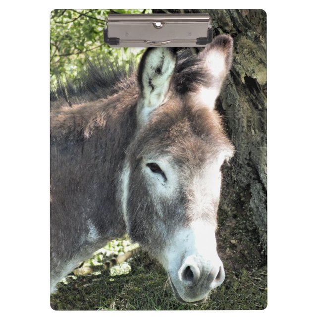 CUTE DONKEY CLIPBOARD (Front)